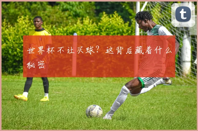 世界杯不让买球？这背后藏着什么秘密