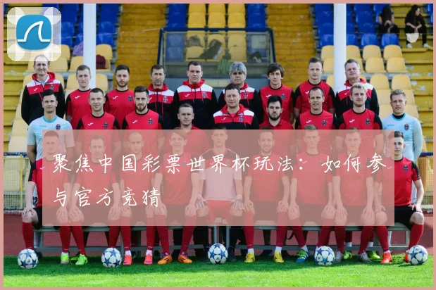 聚焦中国彩票世界杯玩法：如何参与官方竞猜
