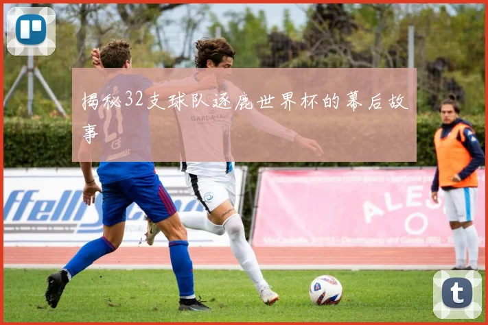 揭秘32支球队逐鹿世界杯的幕后故事