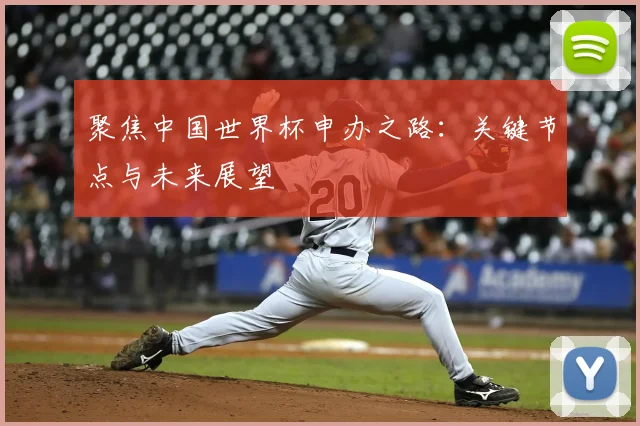 聚焦中国世界杯申办之路：关键节点与未来展望