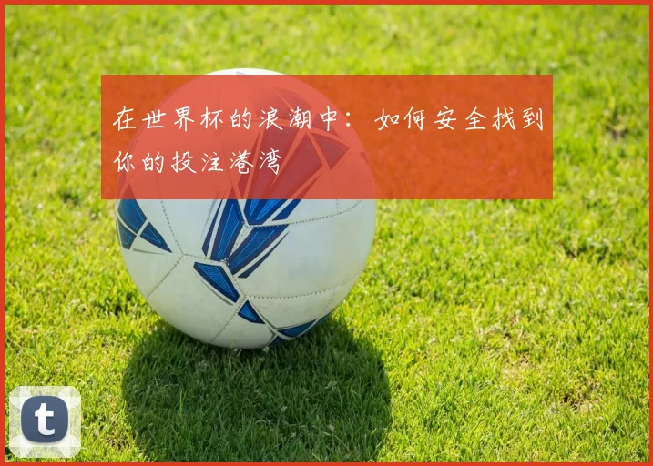 在世界杯的浪潮中：如何安全找到你的投注港湾
