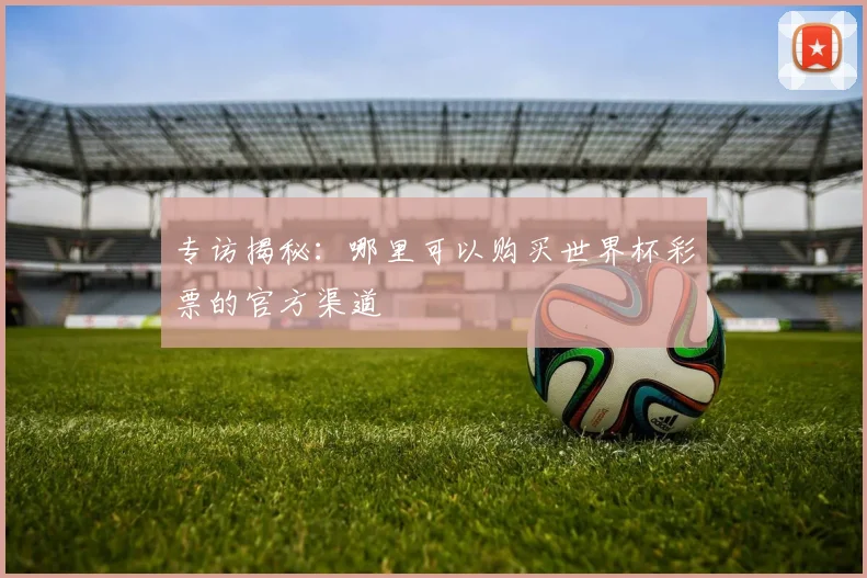 专访揭秘：哪里可以购买世界杯彩票的官方渠道