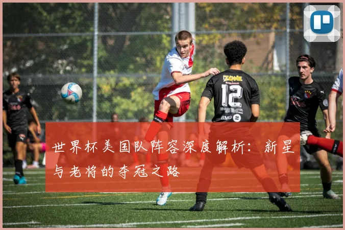 世界杯美国队阵容深度解析：新星与老将的夺冠之路