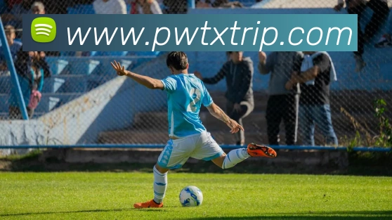 App Interface Preview