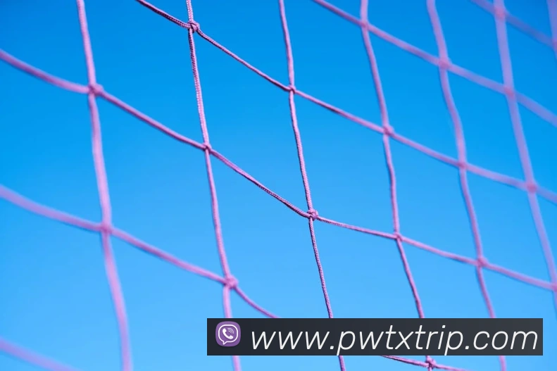 米兰体育在线登陆入口APP 封面图